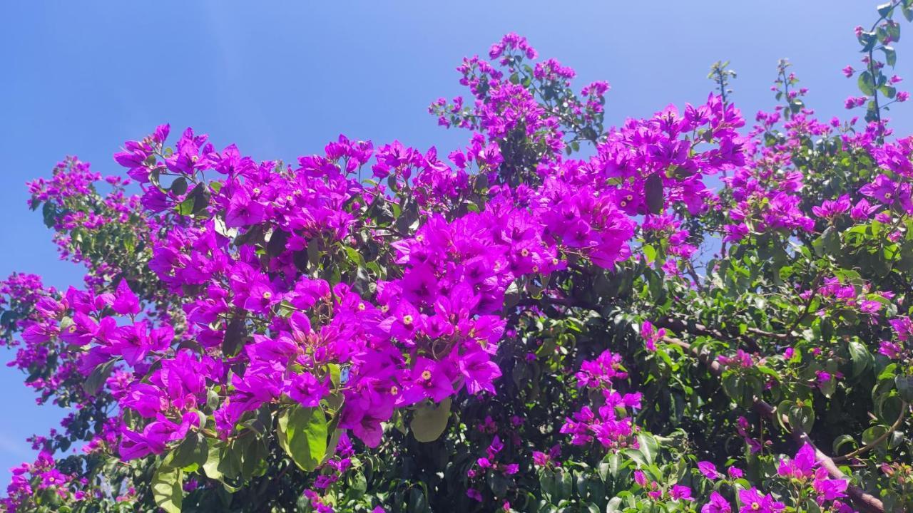 Casa Mirabilis 44 Villa Ostuni Ngoại thất bức ảnh
