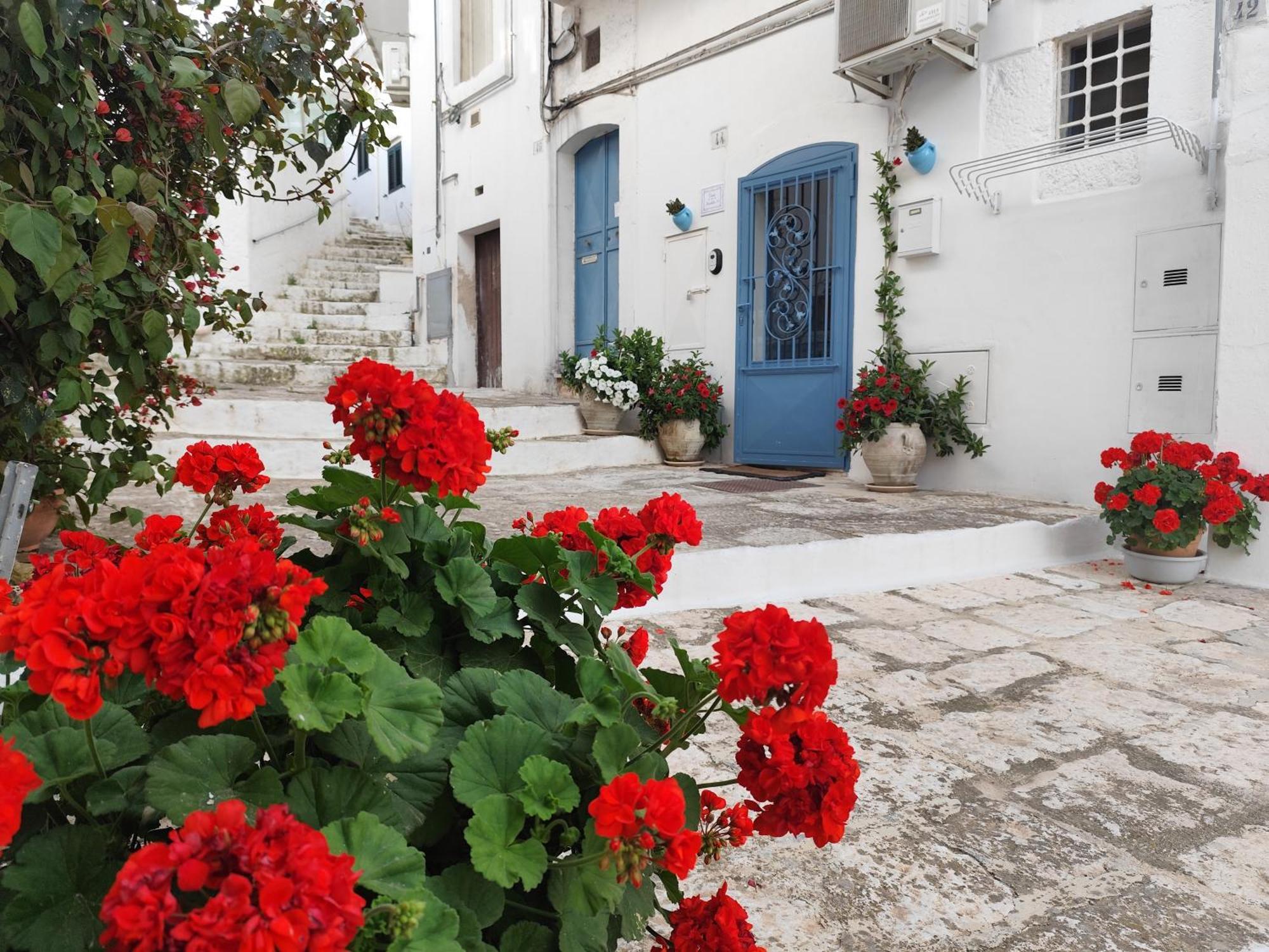 Casa Mirabilis 44 Villa Ostuni Ngoại thất bức ảnh