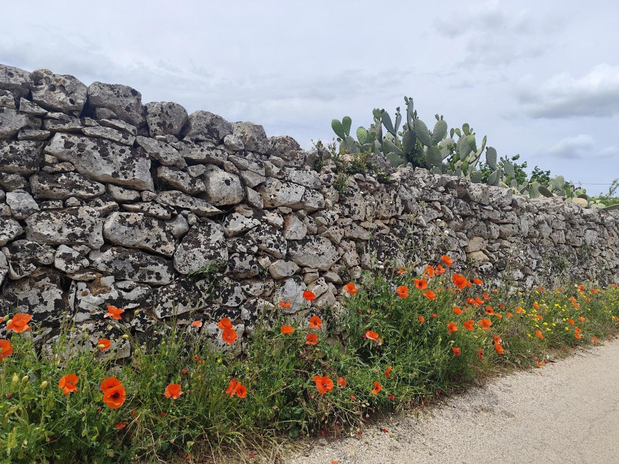 Casa Mirabilis 44 Villa Ostuni Ngoại thất bức ảnh